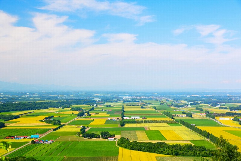 AdobeStock_115411444-960x640