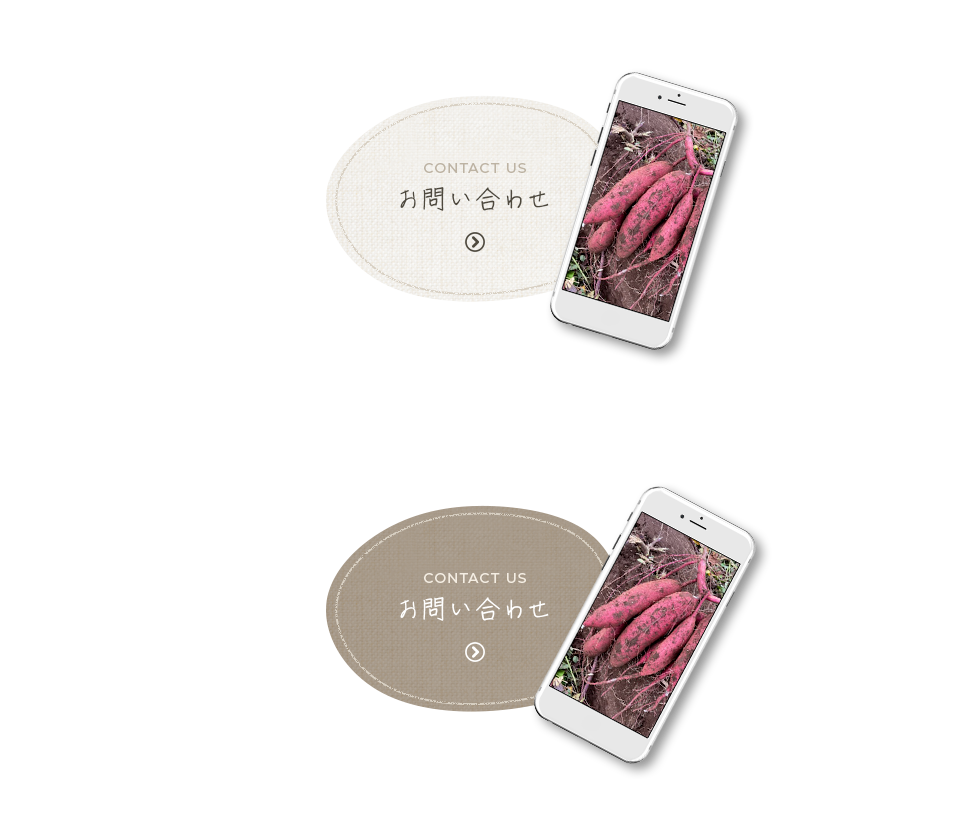 banner_contact
